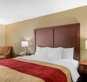 Comfort Inn Chester - Richmond South hotel detail image 5