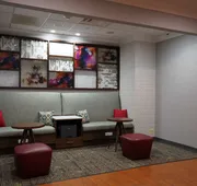 Hampton Inn & Suites Chicago/Aurora hotel detail image 3