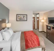 Quality Inn Corning hotel detail image 7