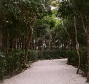 Baker's Cay Resort Key Largo, Curio Collection by Hilton hotel detail image 4