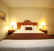 Best Western Plus Edison Inn hotel detail image 5