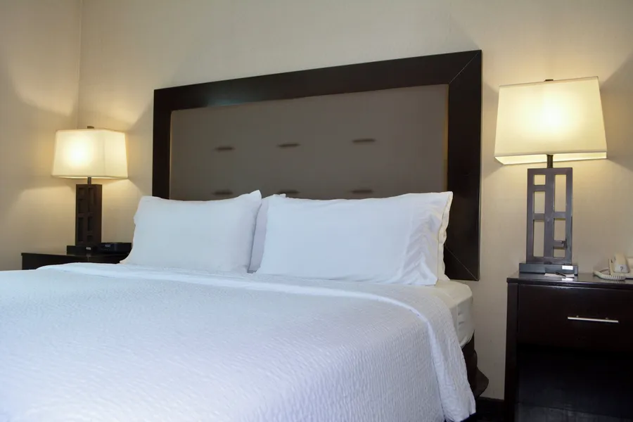 Holiday Inn Budd Lake - Rockaway Area by IHG hotel detail image 6