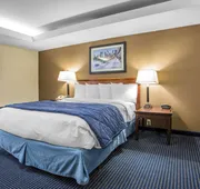 Quality Inn Schaumburg - Chicago near the Mall hotel detail image 3