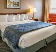 Quality Inn Schaumburg - Chicago near the Mall hotel detail image 4