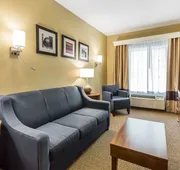 Comfort Inn & Suites Dalton West hotel detail image 7