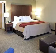 Comfort Inn Farmington Hills - Detroit Northwest hotel detail image 7