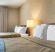 Comfort Inn London - Wellington Road hotel detail image 7