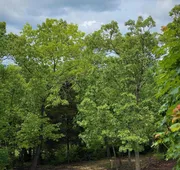 The Park at Foxborough Resort hotel detail image 5