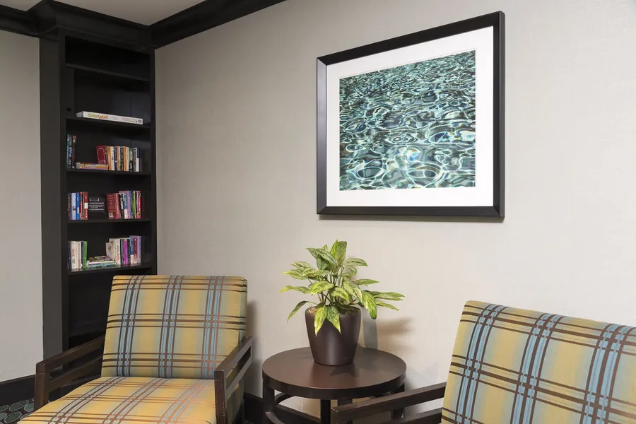 Staybridge Suites Chicago-Oakbrook Terrace by IHG hotel detail image 6
