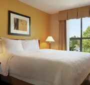 Hampton Inn & Suites by Hilton Langley-Surrey hotel detail image 7