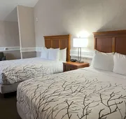 Best Western Plus Silver Saddle Inn hotel detail image 7
