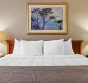 Clarion Inn Central hotel detail image 7