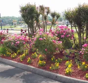 Quality Inn Clinton - Knoxville North hotel detail image 3