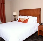 Hilton Garden Inn Chesapeake/Suffolk hotel detail image 4