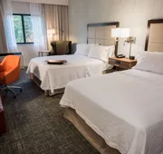 Hampton Inn Albany-Western Ave/University Area hotel detail image 5