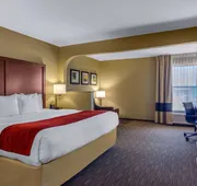 Comfort Inn & Suites LaGrange East hotel detail image 7