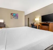 Best Western McCarran Inn hotel detail image 7