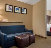 Comfort Suites Mobile hotel detail image 7