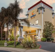 Comfort Suites Vacaville-Napa Valley Area hotel detail image 5