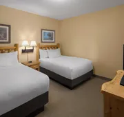 Great Wolf Lodge Wisconsin Dells hotel detail image 7