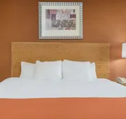 Days Inn by Wyndham Columbus Fairgrounds hotel detail image 4