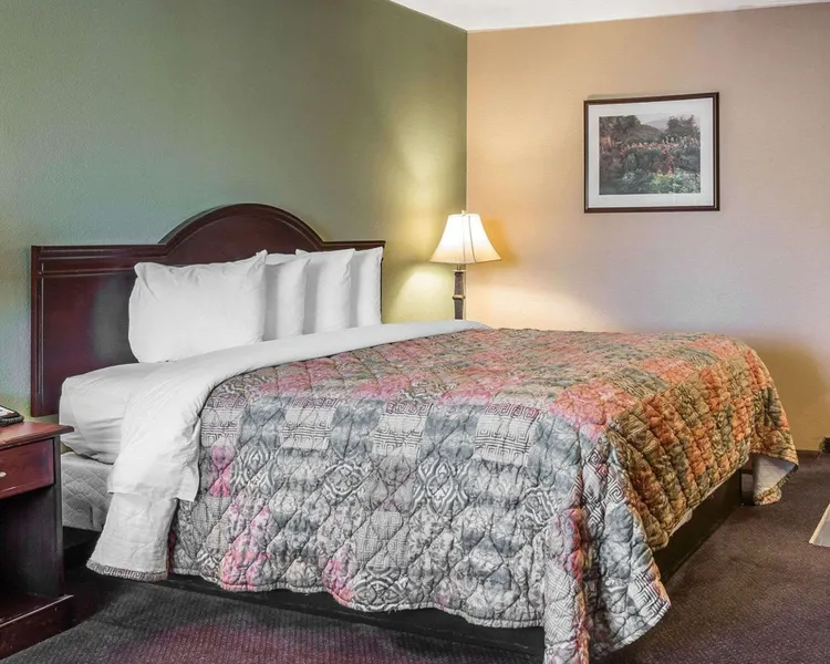 Quality Inn & Suites Cameron Park Shingle Springs hotel detail image 6