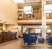 Comfort Suites Effingham Central hotel detail image 3