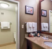 Comfort Inn Roswell-Dunwoody hotel detail image 4