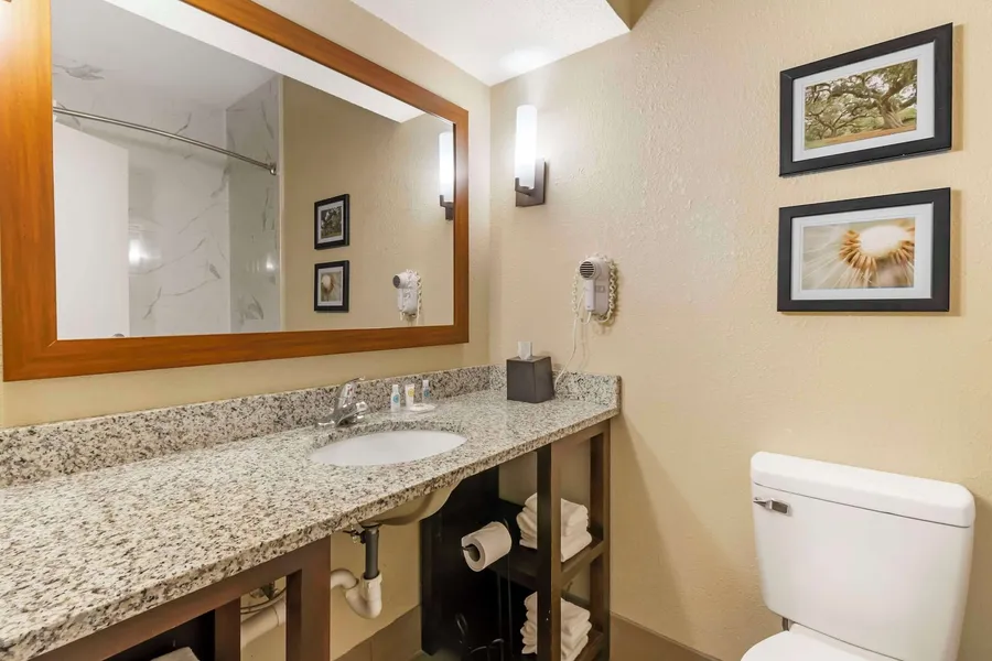 Comfort Suites hotel detail image 6