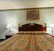 Americas Best Value Inn Anderson, SC hotel detail image 5