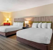 Country Inn & Suites by Radisson, Atlanta Galleria/Ballpark, GA hotel detail image 7