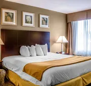 Quality Inn hotel detail image 3