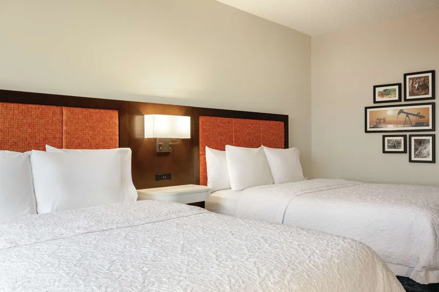 Hampton Inn & Suites Dallas-Mesquite hotel detail image 6
