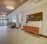 Holiday Inn Express & Suites Tampa USF Busch Gardens by IHG hotel detail image 7