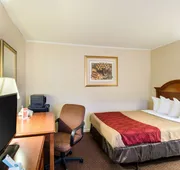 Econo Lodge Inn & Suites hotel detail image 3