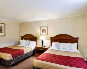 Econo Lodge Inn & Suites hotel thumbnail 4