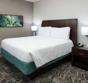 Hilton Garden Inn DFW North Grapevine hotel detail image 7