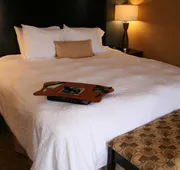 Hampton Inn & Suites Barstow hotel detail image 5