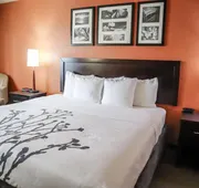 Sleep Inn and Suites - Ocala / Belleview hotel detail image 3