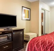 Quality Inn Lincolnton hotel detail image 7