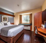 Microtel Inn & Suites by Wyndham Ocala hotel detail image 4
