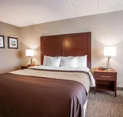 Quality Inn & Suites Orland Park - Chicago hotel detail image 3