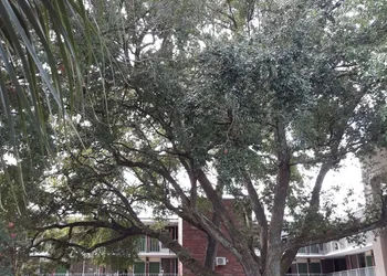 Days Inn by Wyndham Mt Pleasant-Charleston-Patriots Point hotel thumbnail 2