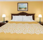 Days Inn by Wyndham Mt Pleasant-Charleston-Patriots Point hotel detail image 7