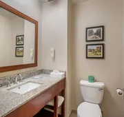 Comfort Inn Petersburg Fort Lee Area hotel detail image 7