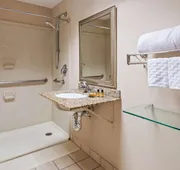 Best Western Plus Chicago Hillside hotel detail image 4
