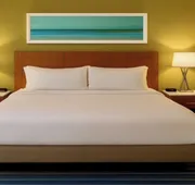 Holiday Inn Express Clermont by IHG hotel detail image 5
