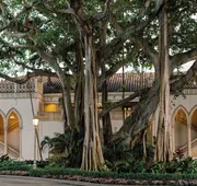 Beach Club at The Boca Raton hotel detail image 4
