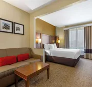 Comfort Suites Raleigh Walnut Creek hotel detail image 7