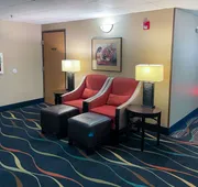Comfort Inn & Suites Midtown hotel detail image 7